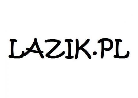 LAZIK.PL - domena na sprzedaż