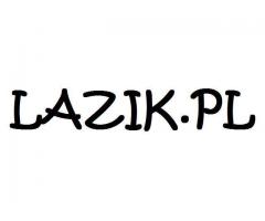 LAZIK.PL - domena na sprzedaż - 1/1