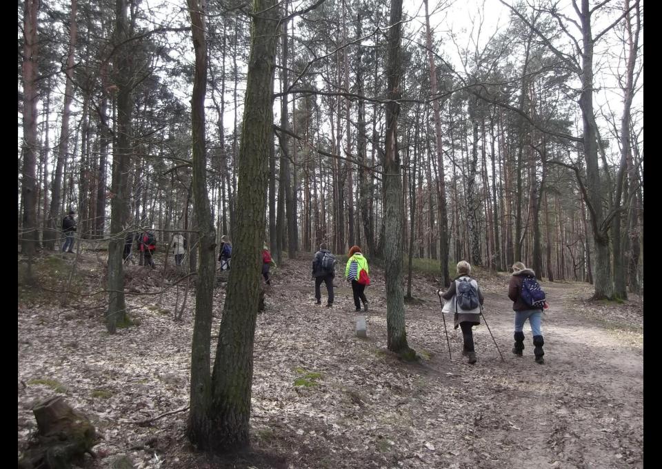 Truskaw - Truskaw, leśna wędrówka 20 km