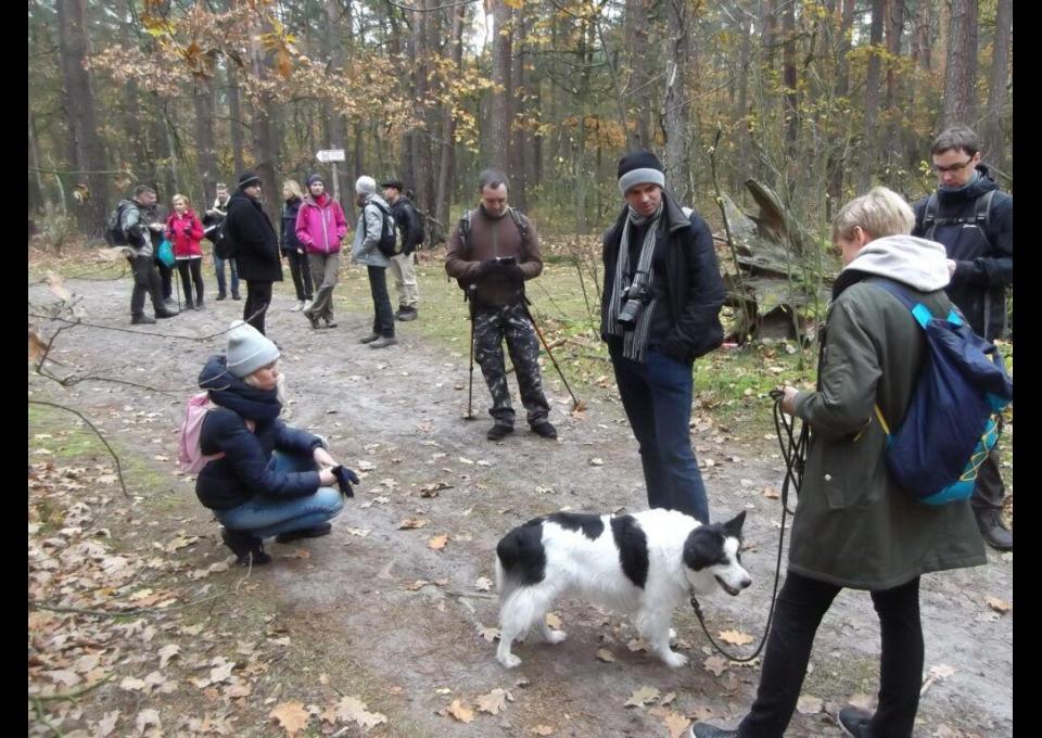 Przedświąteczny spacer po Lesie Kabackim