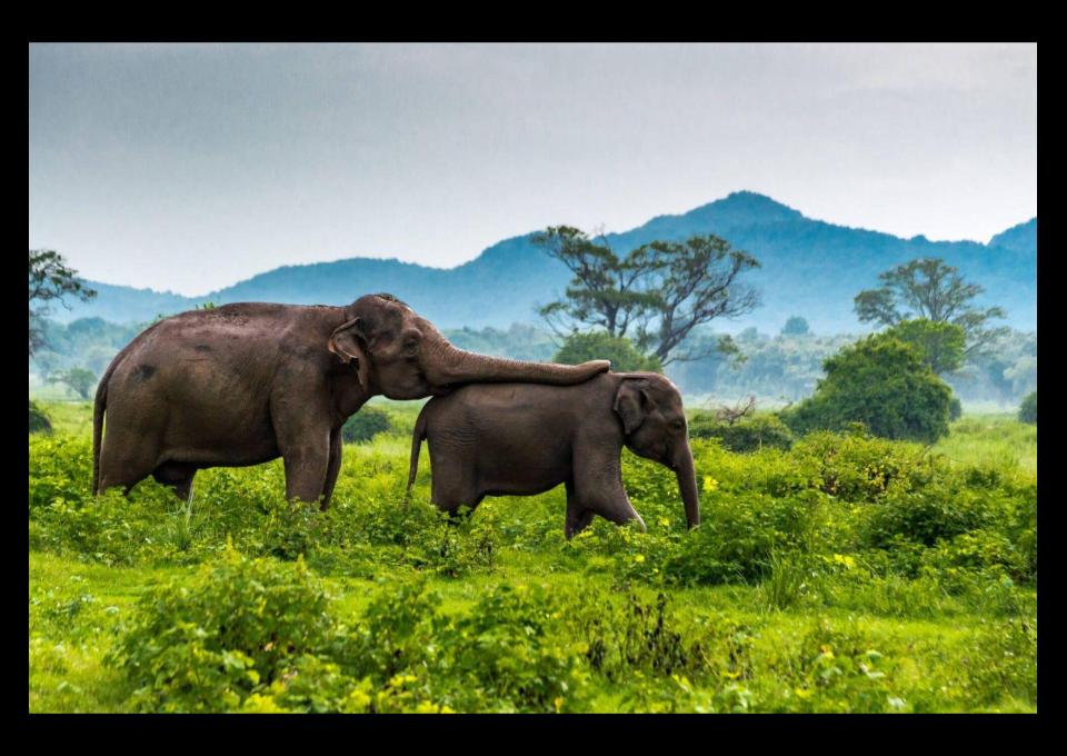 AZJA tam gdzie będą tanie bilety CHINY, SRI LANKA?