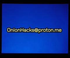 Szukam Hakera OnionHacks@proton.me