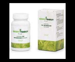 Green Barley Plus - Odchudzanie