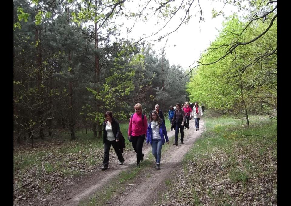 Mazowiecki Park Krajobrazowy: Pętla Falenicka (nowa trasa), spacer 19 km