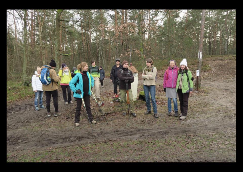 Mazowiecki Park Krajobrazowy: Szlakiem Borów Nadwiślańskich