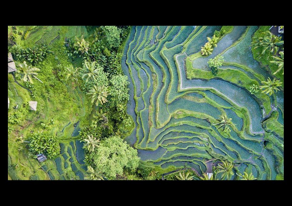 Indonezja