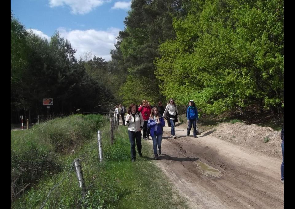 Świąteczny spacer po Lesie Kabackim
