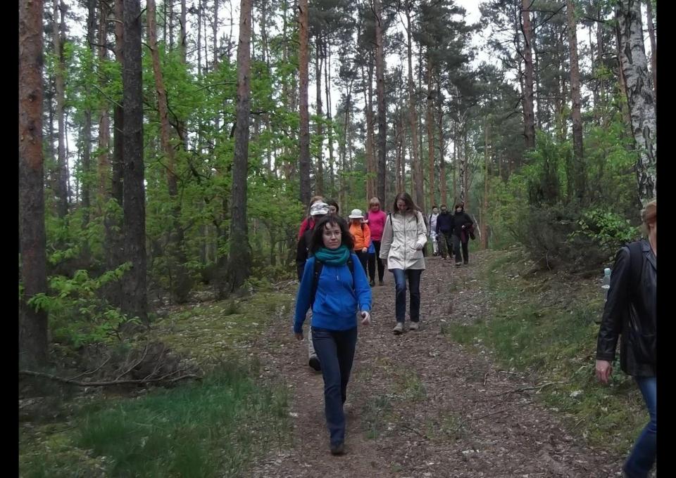 Pętla Wieliszewska: spacer po Lasach Nieporęckich