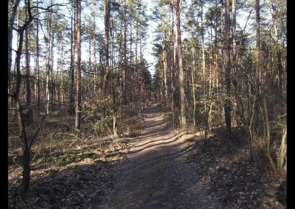 Mazowiecki Park Krajobrazowy: Zabieżki - Celestynów, wycieczka piesza
