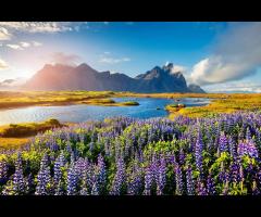 Islandia dla pani