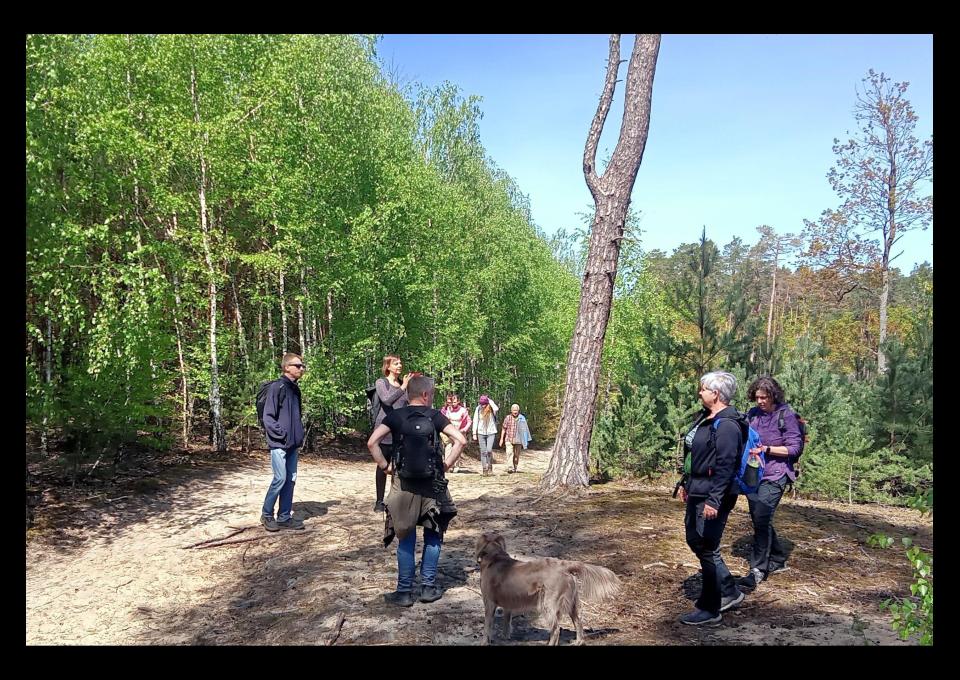 18.05 - Piaseczno-Konstancin Park Zdrojowy, wycieczka piesza 16.5 km