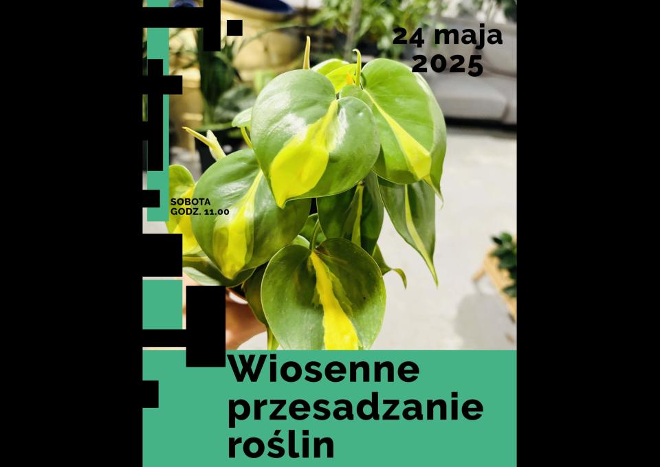 24.05 - Wiosenne przesadzanie roślin - warsztaty dla młodzieży (15 lat) i dorosłych
