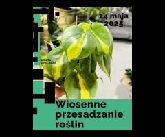24.05 - Wiosenne przesadzanie roślin - warsztaty dla młodzieży (15 lat) i dorosłych - 1/1
