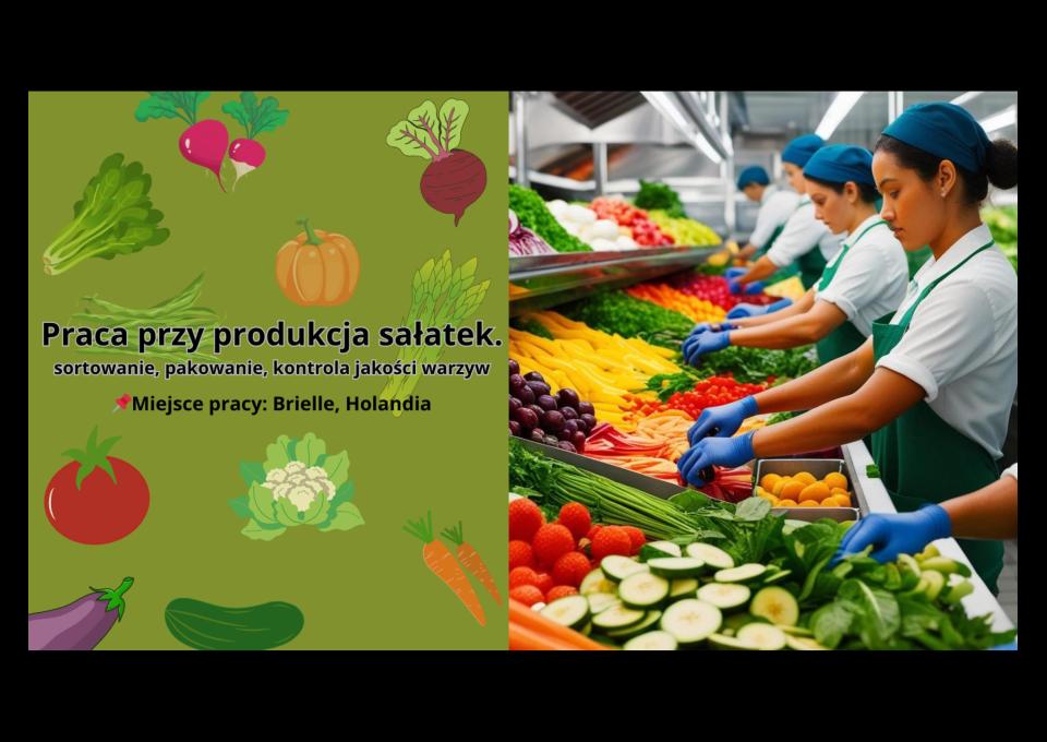 Praca przy produkcji sałatek, NL