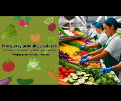 Praca przy produkcji sałatek, NL