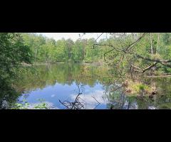 25.05 - Celestynów – Śródborów, wycieczka piesza - 3/6