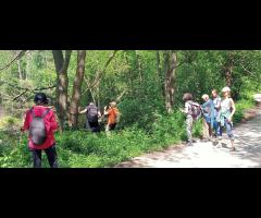 25.05 - Celestynów – Śródborów, wycieczka piesza - 4/6