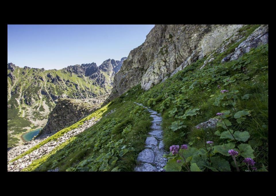 Zakopane: szukam towarzyszki podróży