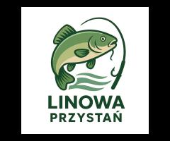 Linowa Przystań Wójcin Staw i Pole Biwakowe