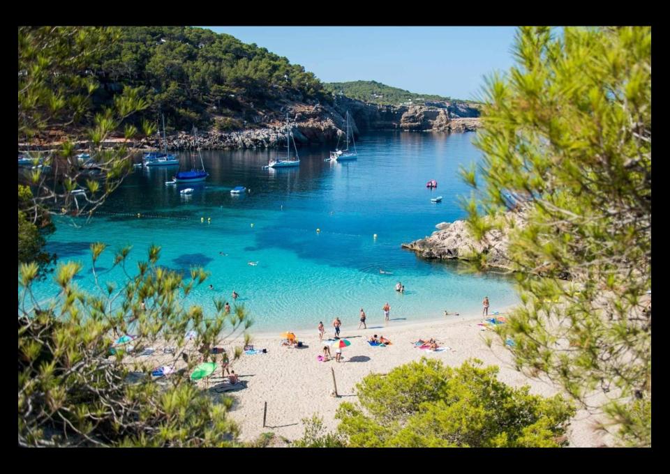 Ibiza: towarzysz podróży poszukiwany