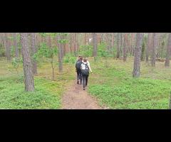 08.06 - Czas na Kampinos: Pętla Truskawska - 6/15