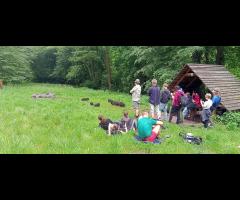 08.06 - Czas na Kampinos: Pętla Truskawska - 14/15