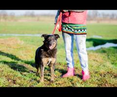 Red - pokocha Cię z całego serca! - 3/6