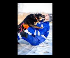 Red - pokocha Cię z całego serca! - 4/6