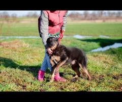 Red - pokocha Cię z całego serca! - 5/6