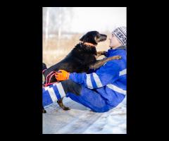 Red - pokocha Cię z całego serca! - 6/6