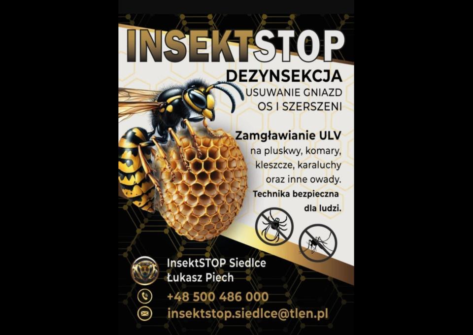 Usuwanie gniazd os i szerszeni – InsektSTOP Siedlce