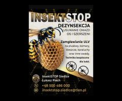 Usuwanie gniazd os i szerszeni – InsektSTOP Siedlce