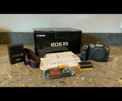 Nikon Z9, Nikon Z8, Nikon Z 7II, Nikon D6, Nikon D850, Nikon D780, Canon EOS R3, Canon EOS R5 - 10/13