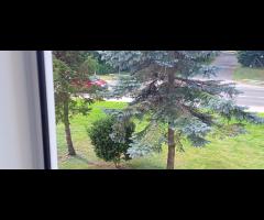 Kawalerka 6 km od morza, Krokowa Centrum, super lokalizacja - 13/16