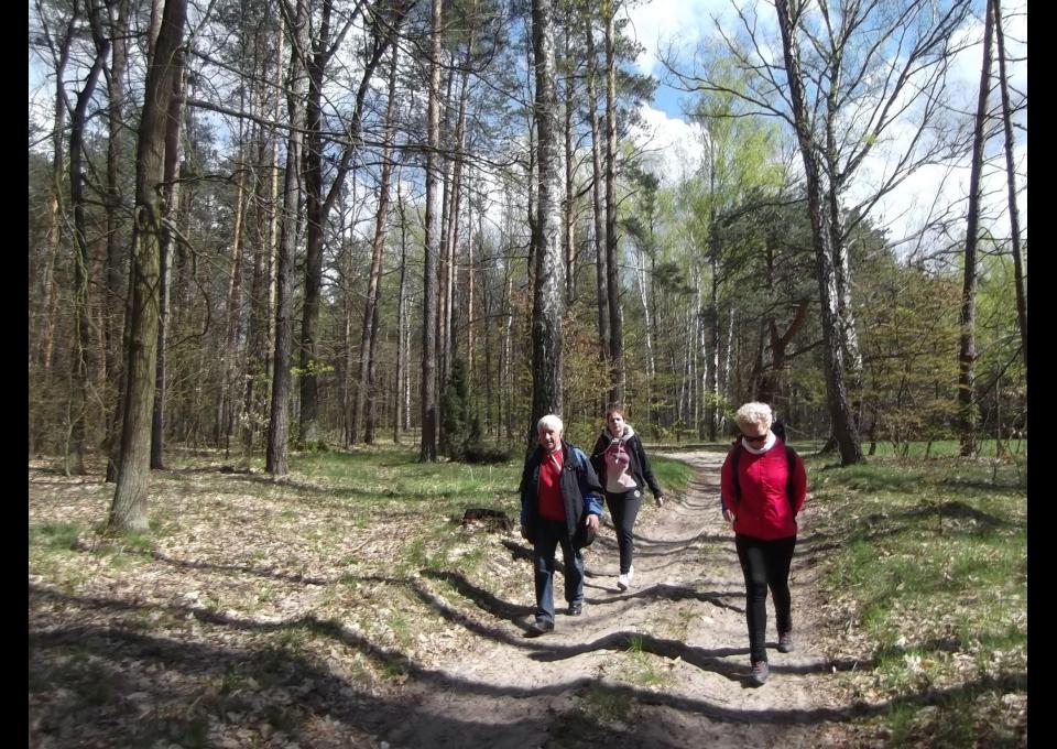 Sobotni spacer przez Mazowiecki Park Krajobrazowy