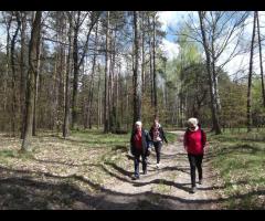 Sobotni spacer przez Mazowiecki Park Krajobrazowy
