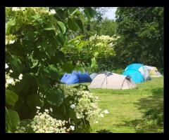 Spływy kajakowe rzeką Wel - Agroturystyka - Pole namiotowe - 7/14