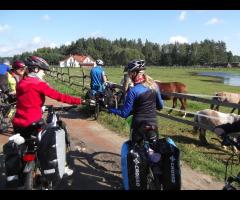 Green Velo z TTX, część 1 - 6/16