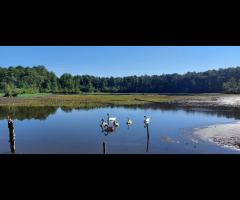 20.09 - Bagno Całowanie i inne bagna, wycieczka rowerowa - 13/16