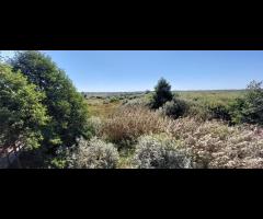 20.09 - Bagno Całowanie i inne bagna, wycieczka rowerowa - 14/16