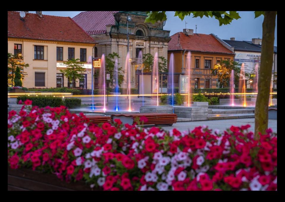 Wycieczka rowerowa do Tomaszowa Mazowieckiego