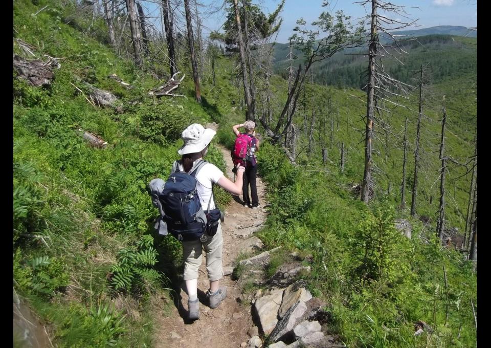 Weekendowa majówka na Beskidzie Śląskim