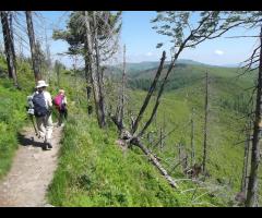 Weekendowa majówka na Beskidzie Śląskim - 2/6