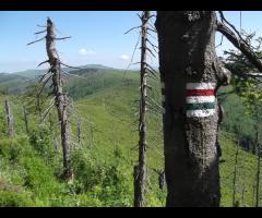 Weekendowa majówka na Beskidzie Śląskim - 4/6