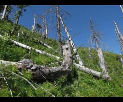 Weekendowa majówka na Beskidzie Śląskim - 5/6