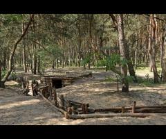 Piknik Militarny - 2/2