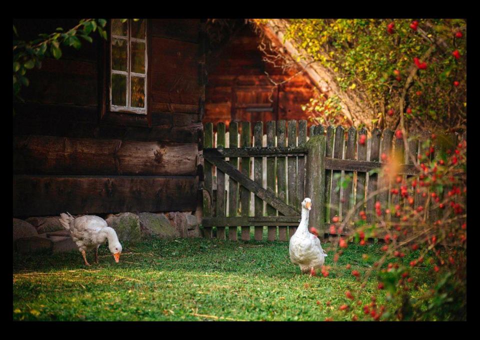 „SPOKOJNY BUG, SPOKOJNA GŁOWA! Rowerem elektrycznym wzdłuż Bugu i Nurzca”