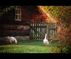 „SPOKOJNY BUG, SPOKOJNA GŁOWA! Rowerem elektrycznym wzdłuż Bugu i Nurzca” - 1/1