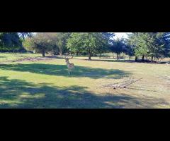 21.09 - Tu na razie jest ściernisko, ale będzie San Francisco, wycieczka rowerowa STR Milanówek - 5/12