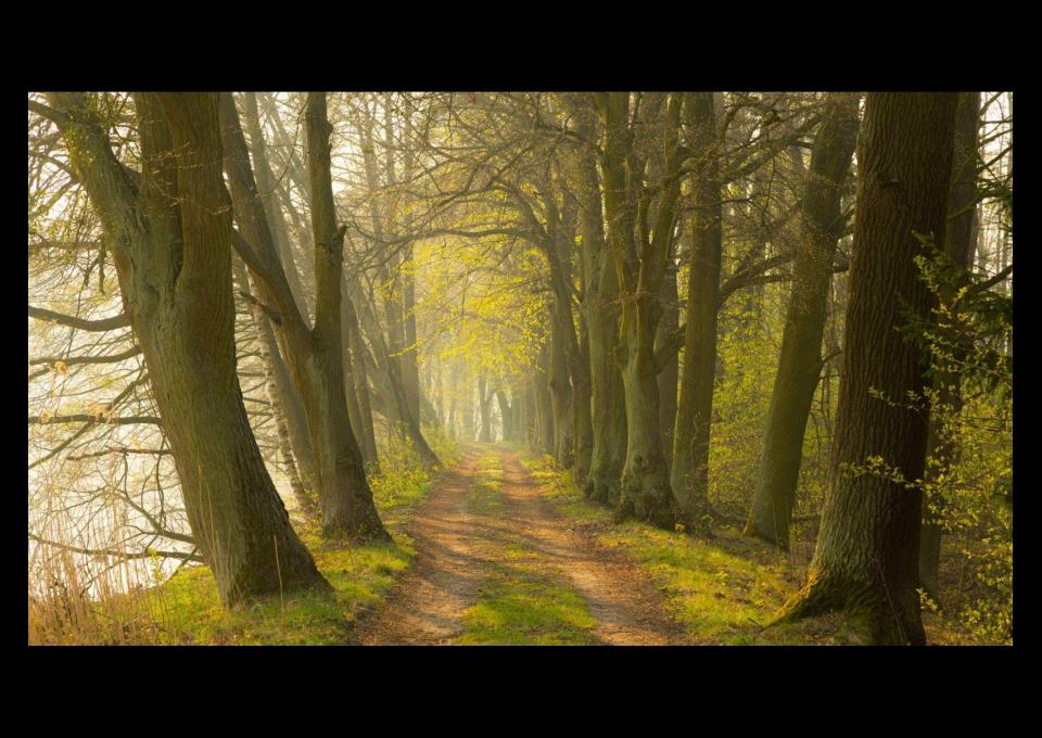 Pałace i zamki Wielkopolski i Dolina Baryczy